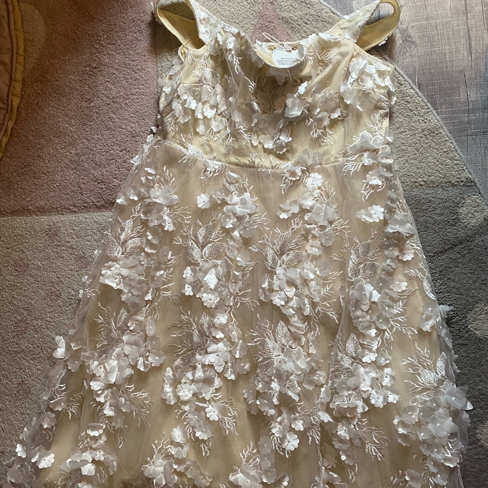 Boohoo dress